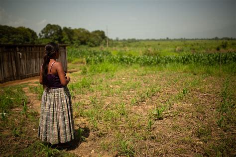 mujeres desnudas en el campo|Chicas De Campo Videos Porno 